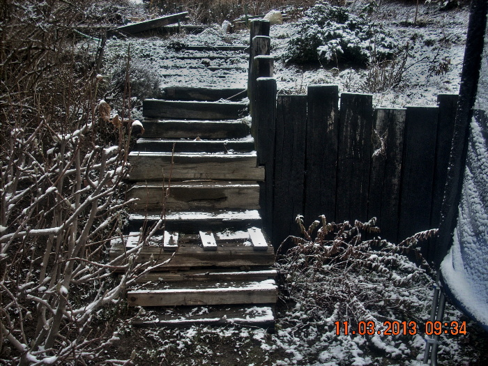 Podolí - palisády z dubových trámů 016