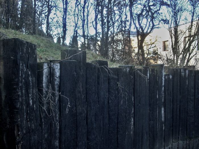 Podolí - palisády z dubových trámů 039